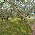 Panoramica מלון