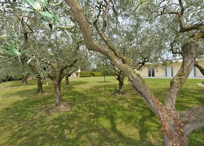 Panoramica Ξενοδοχείο