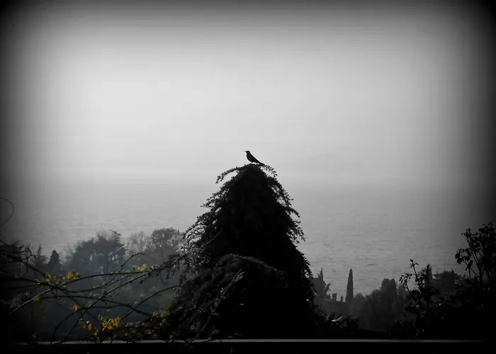 Panoramica Hotell 3*